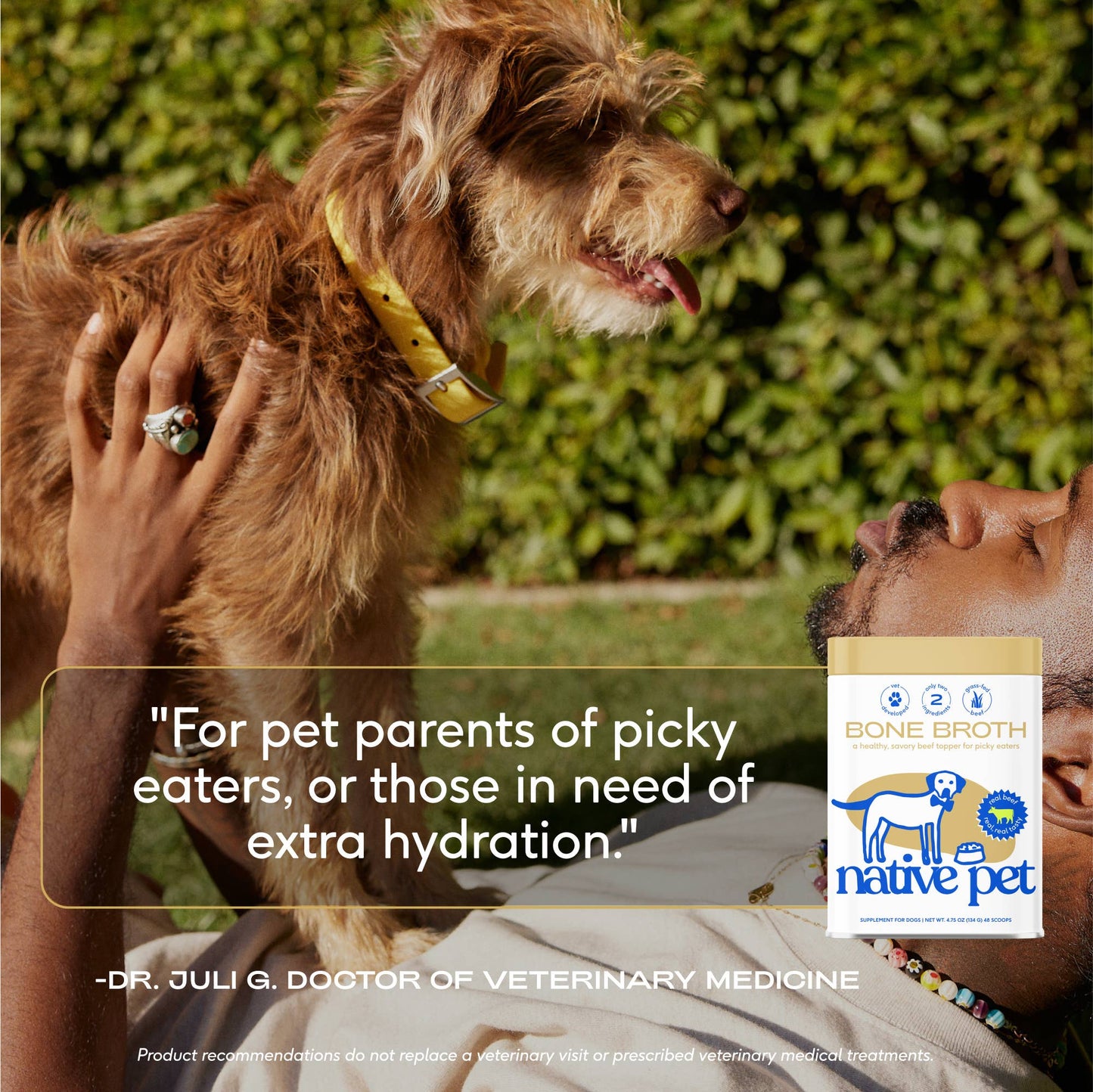 Beef Bone Broth Powder - Native Pet