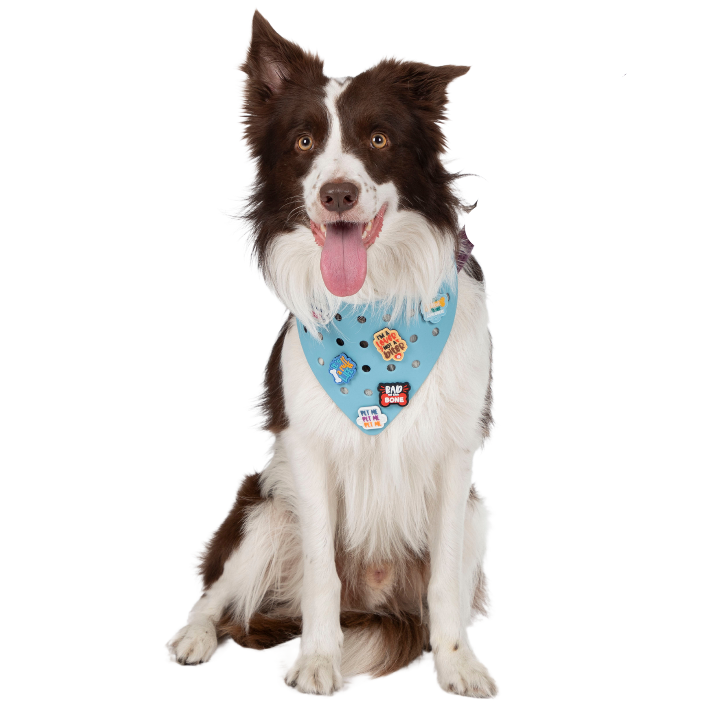 Rubber Dog Bandana with Charms - Blue