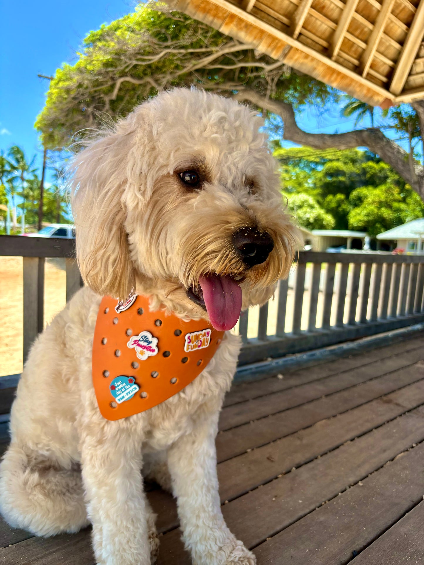 Rubber Dog Bandana with Charms - Orange