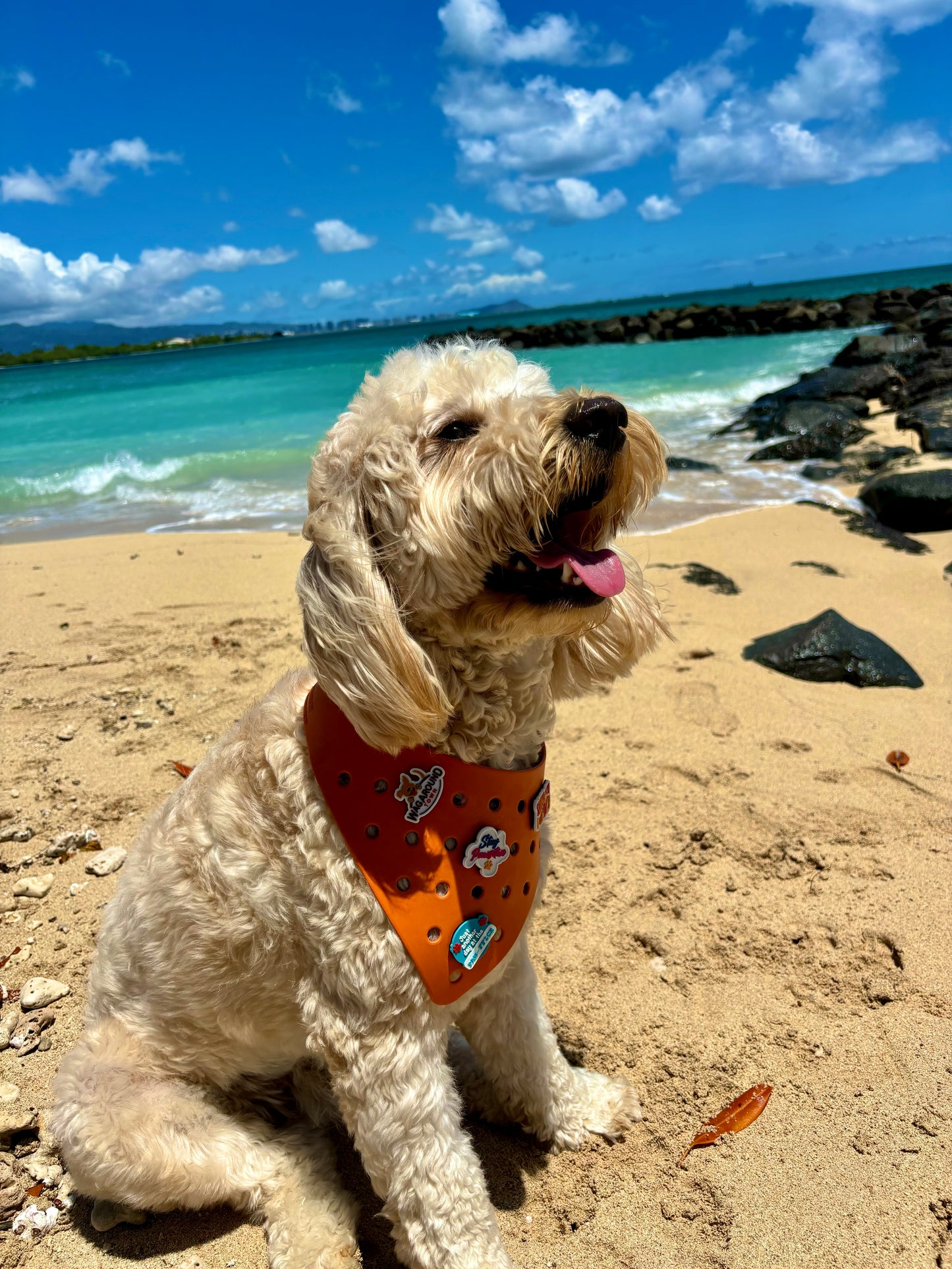 Rubber Dog Bandana with Charms - Orange