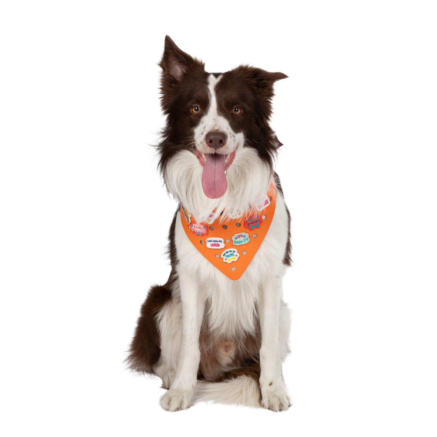 Rubber Dog Bandana with Charms - Orange