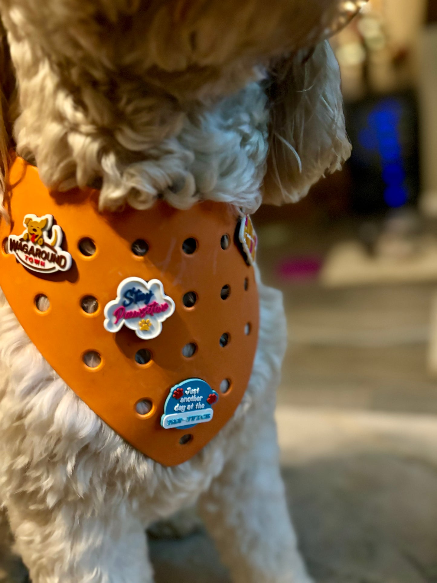 Rubber Dog Bandana with Charms - Orange