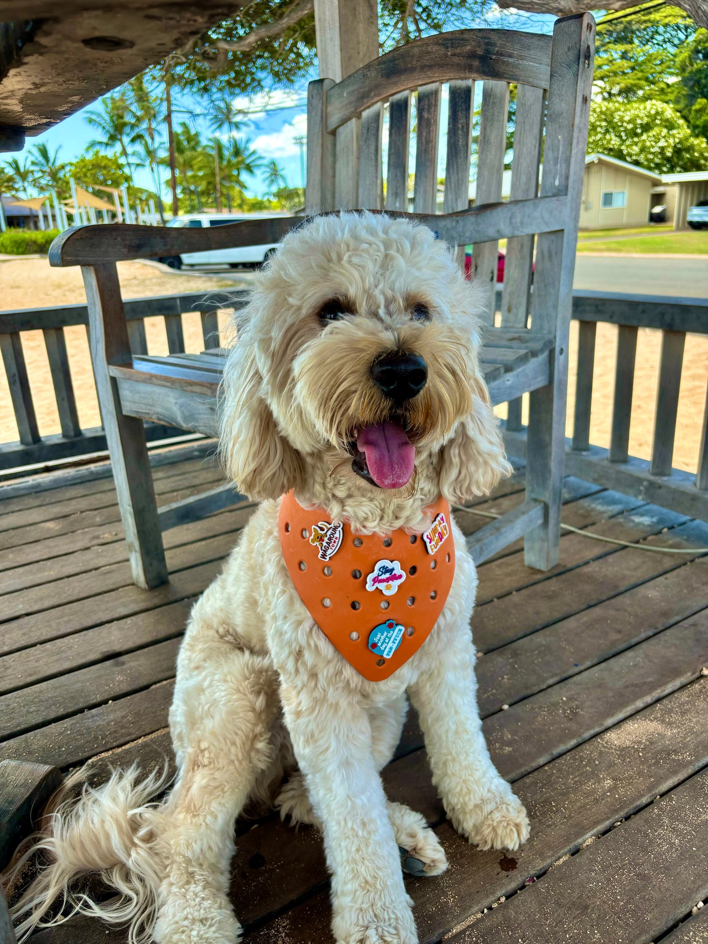 Rubber Dog Bandana with Charms - Orange