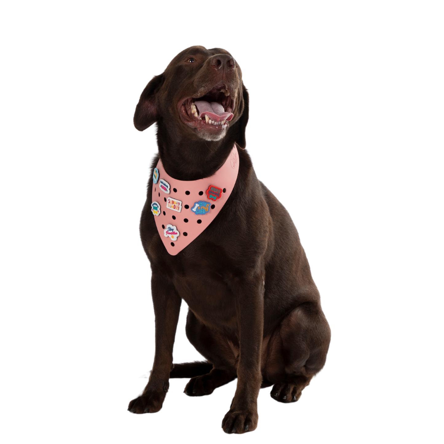 Rubber Dog Bandana with Charms - Pink