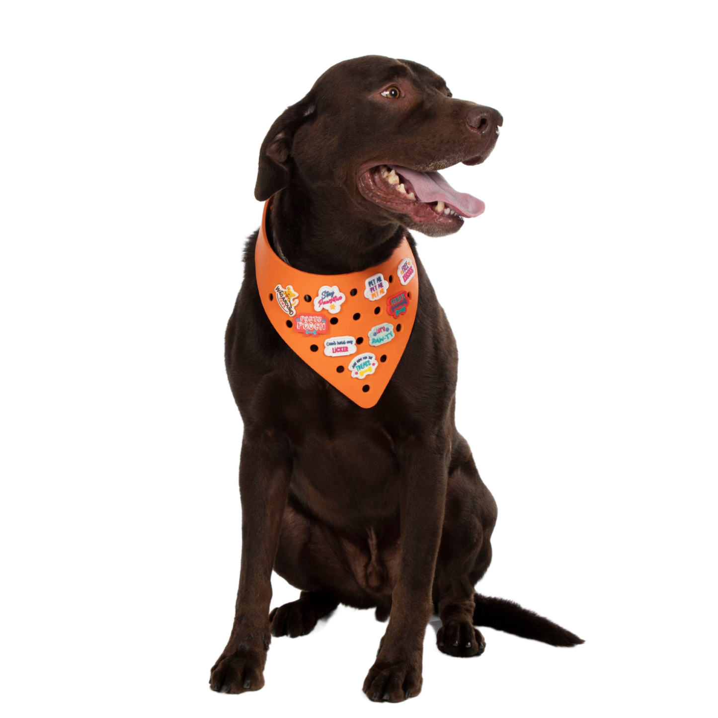 Rubber Dog Bandana with Charms - Orange