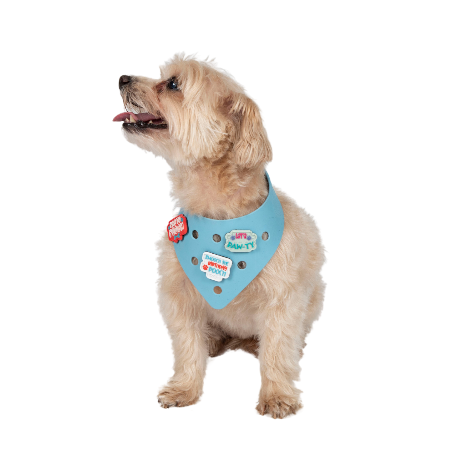 Rubber Dog Bandana with Charms - Blue