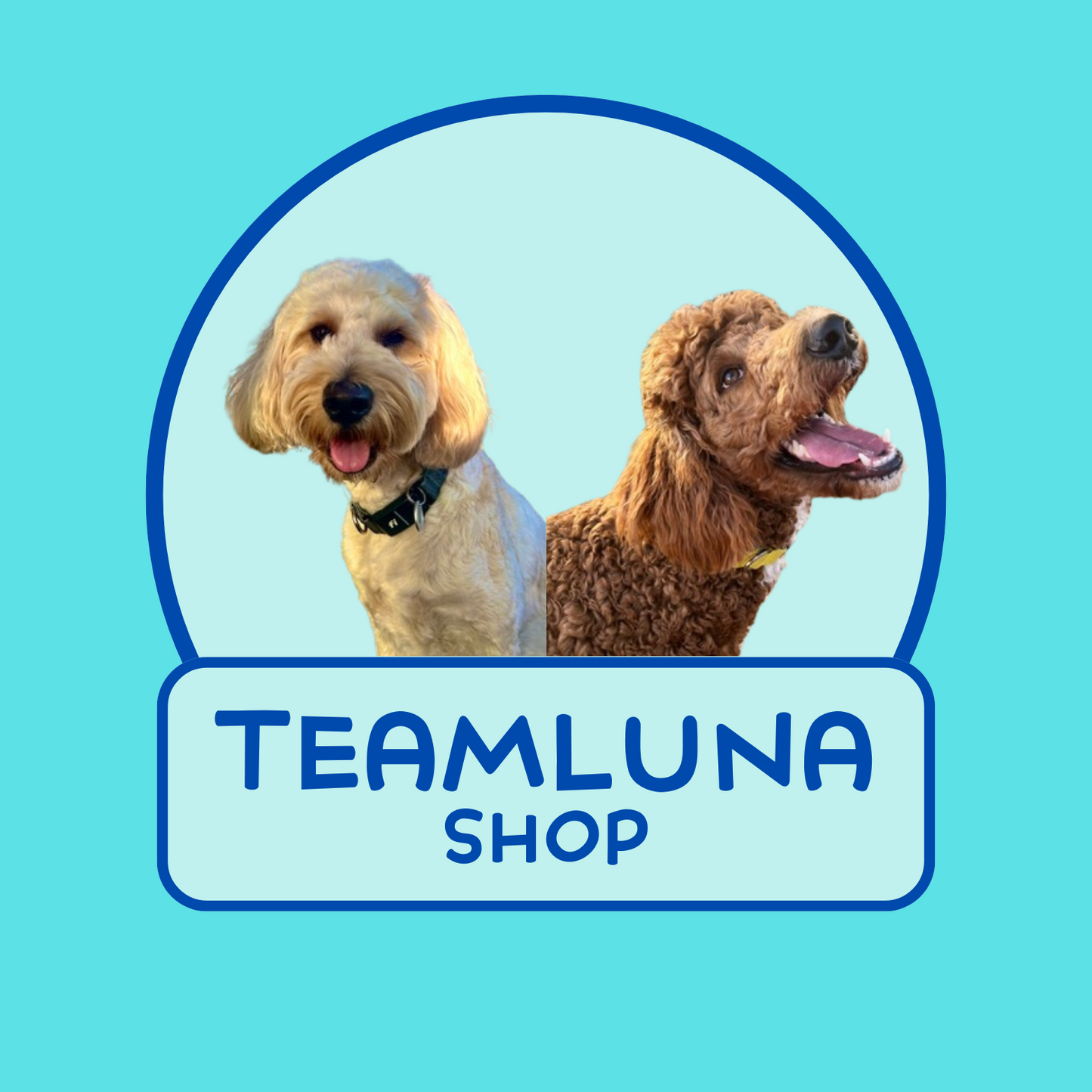 TeamLuna Shop Gift Card