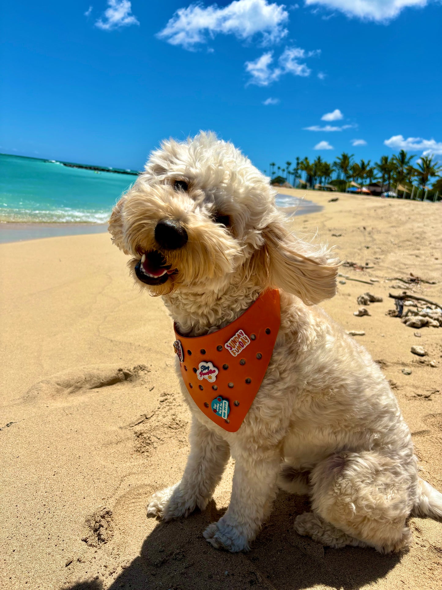 Rubber Dog Bandana with Charms - Orange