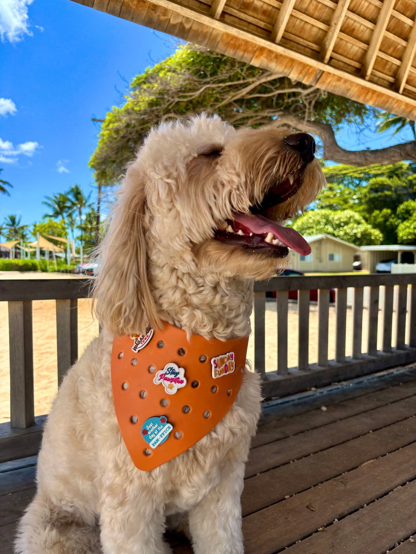 Rubber Dog Bandana with Charms - Orange