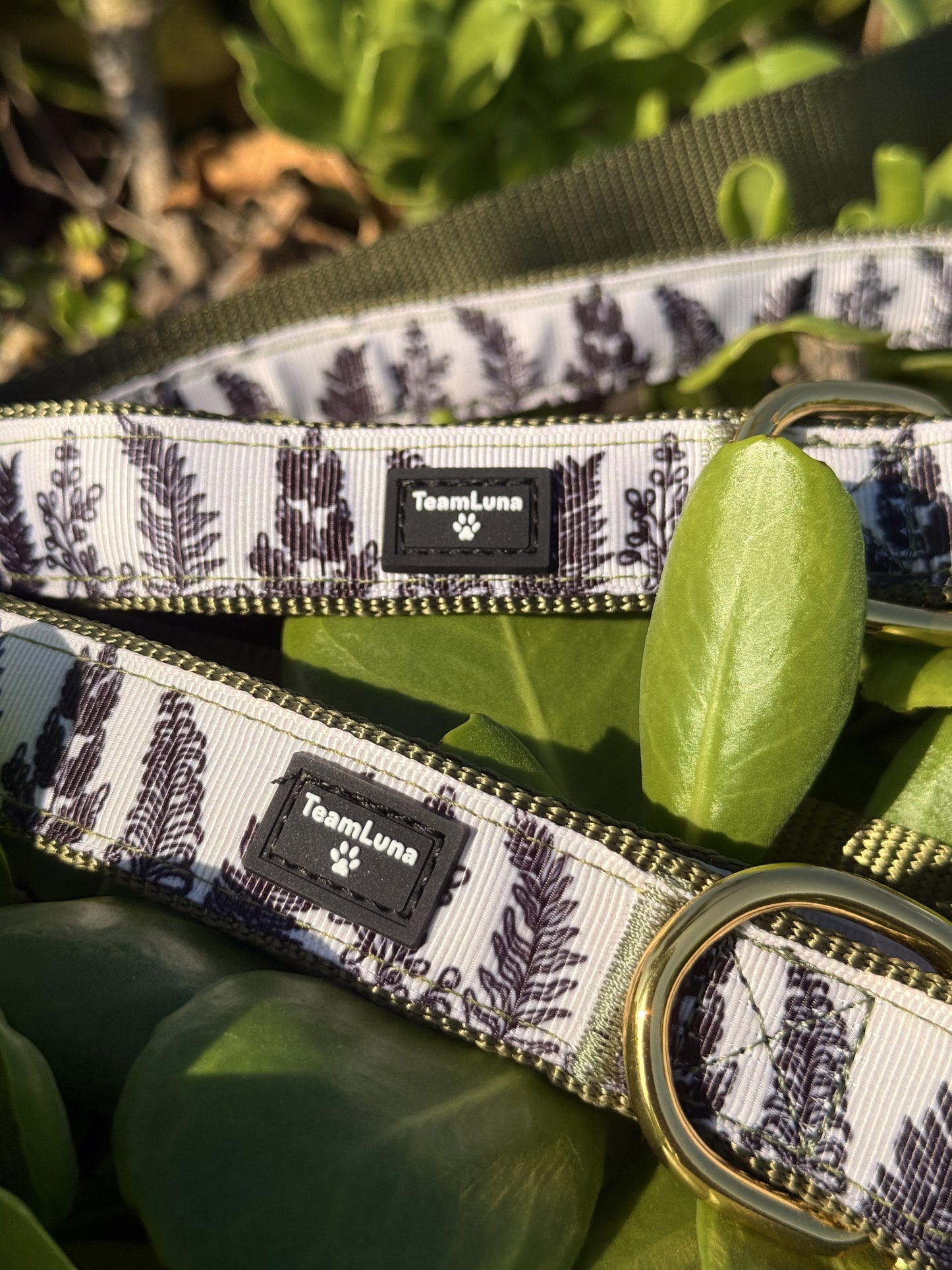 Foliage Pet Collar and Leash Set