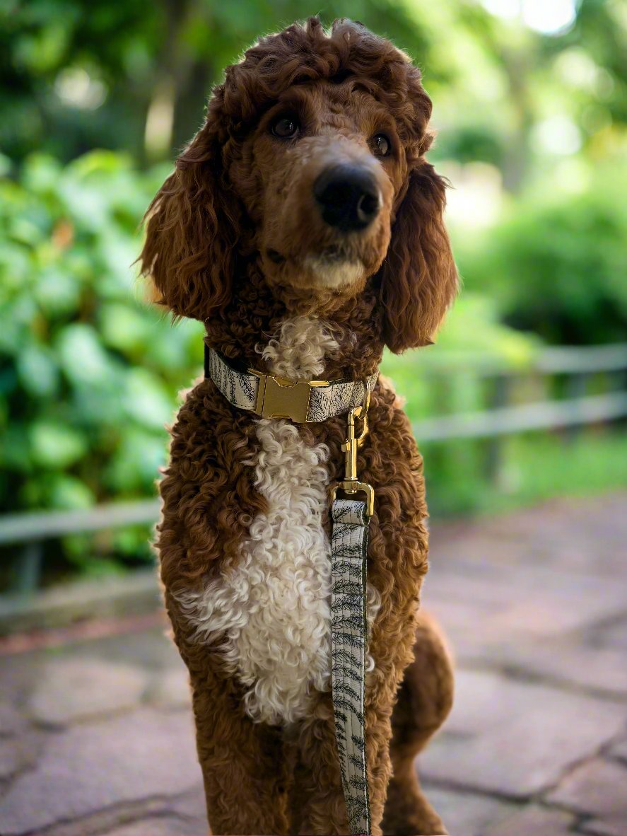 Leaf Print Canvas Dog Collar