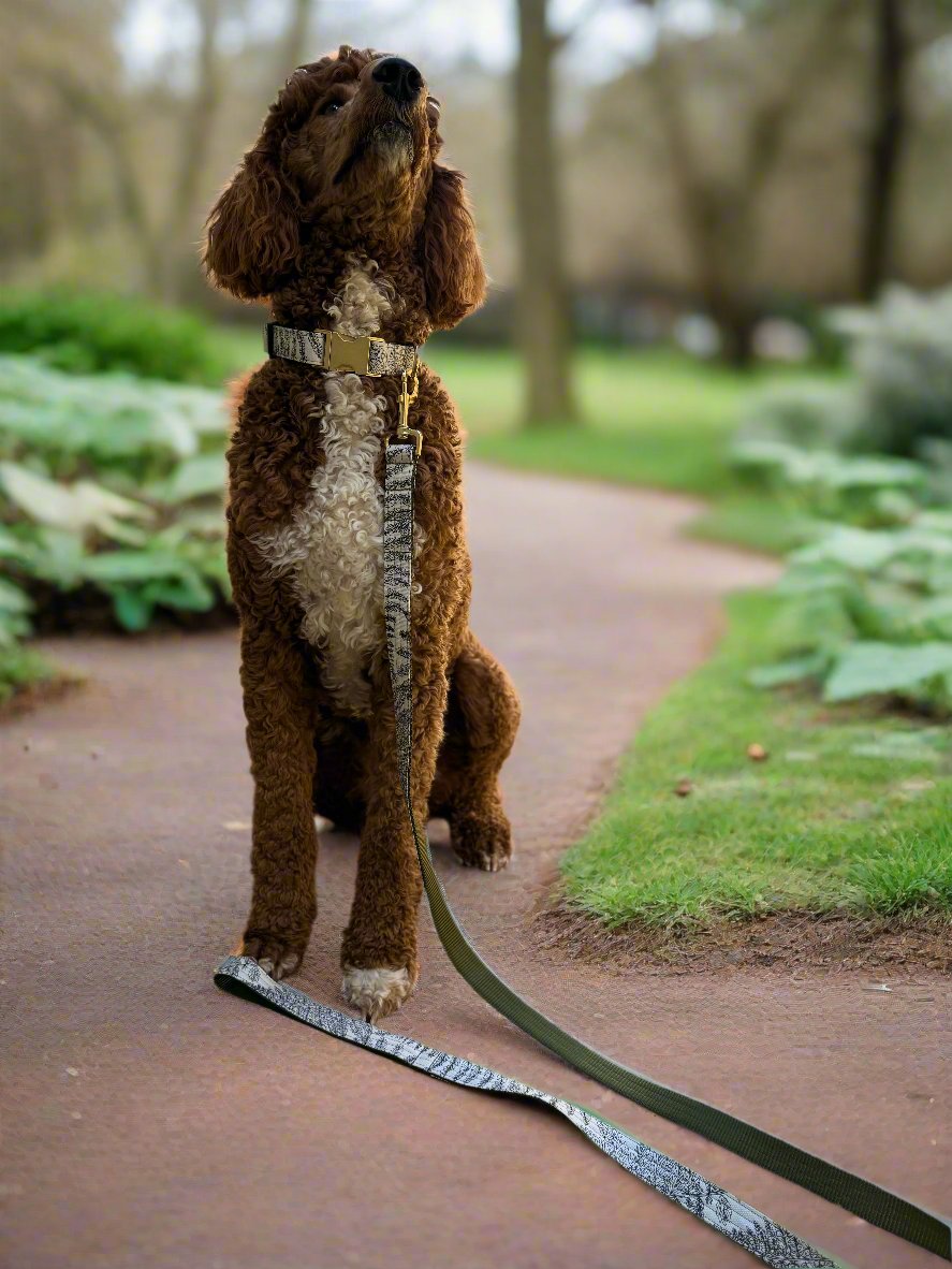 Leaf Print Canvas Dog Leash