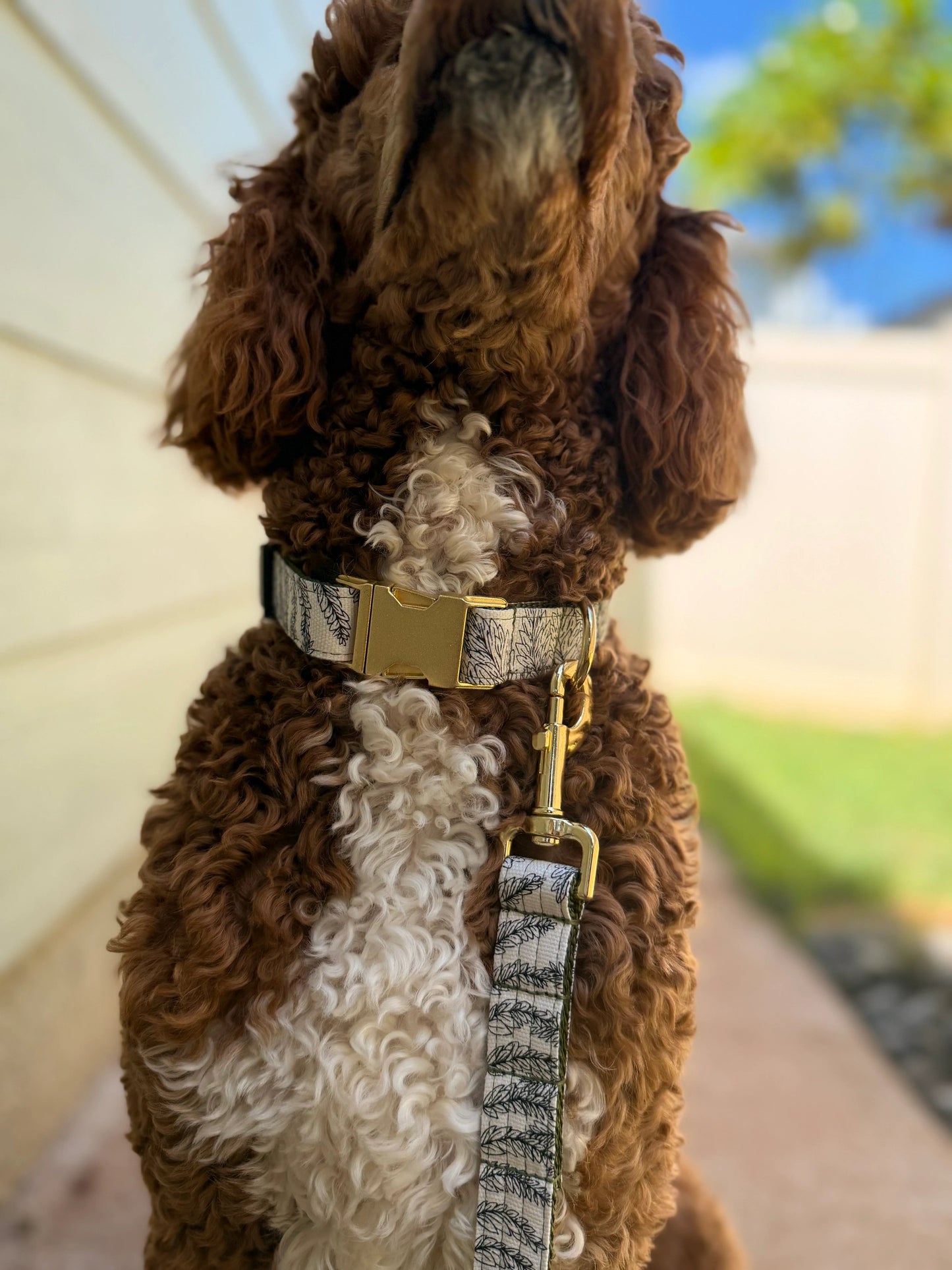 Leaf Print Canvas Dog Collar