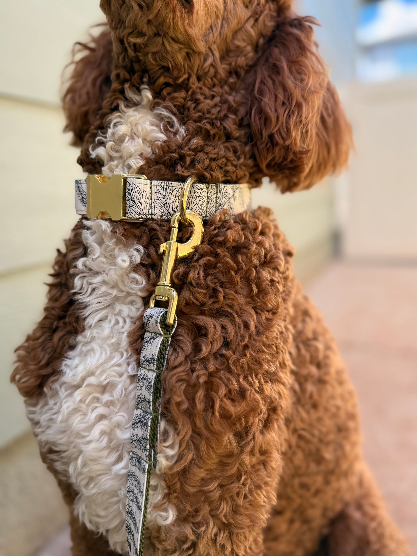 Leaf Print Canvas Dog Collar