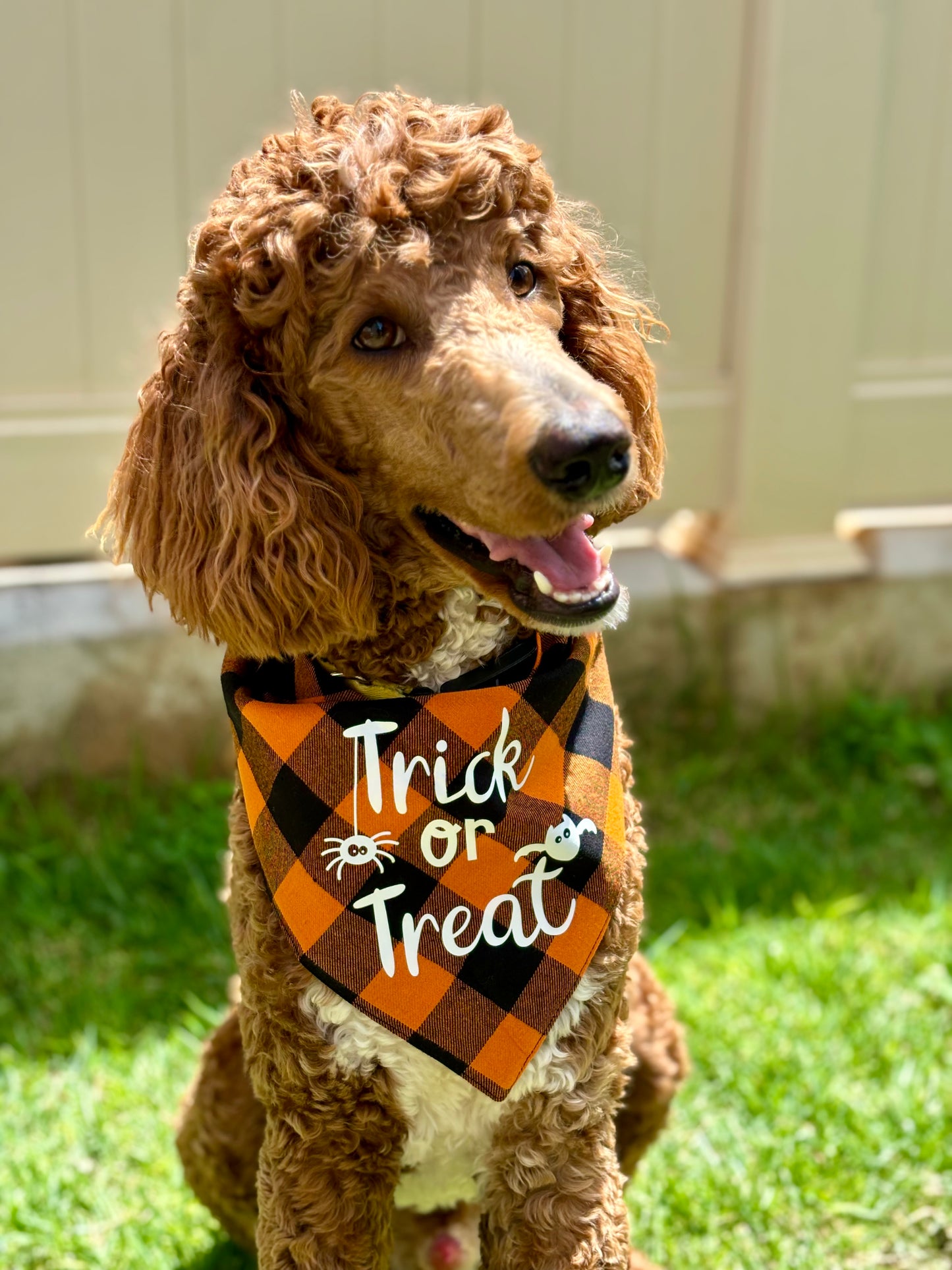 Halloween Plaid Bandana