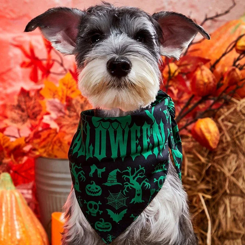 Halloween Bandanas (Print)