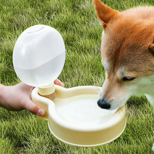 Portable Water Dispenser