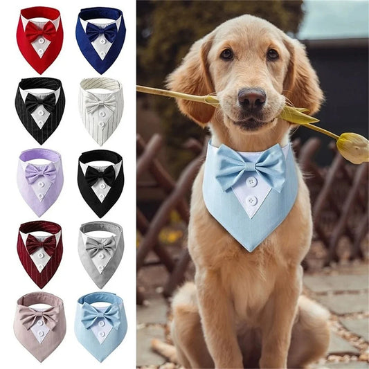 Tuxedo Tailor Bandana