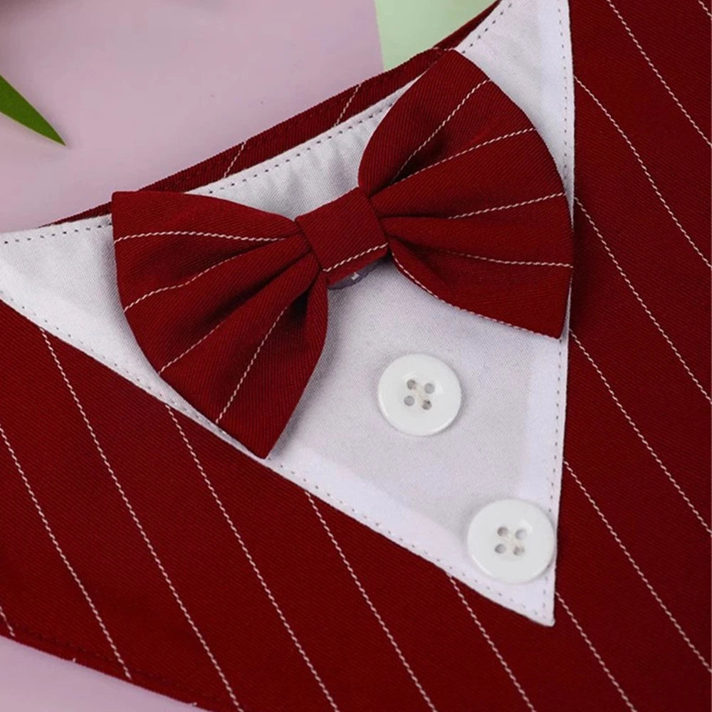 Tuxedo Tailor Bandana