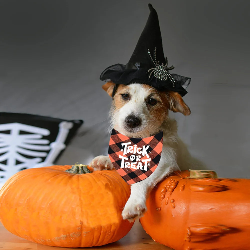 Halloween Plaid Bandana