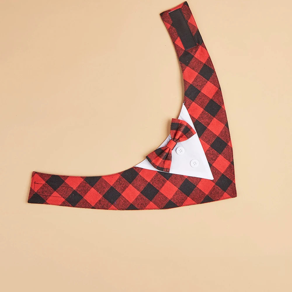 Tuxedo Tailor Bandana