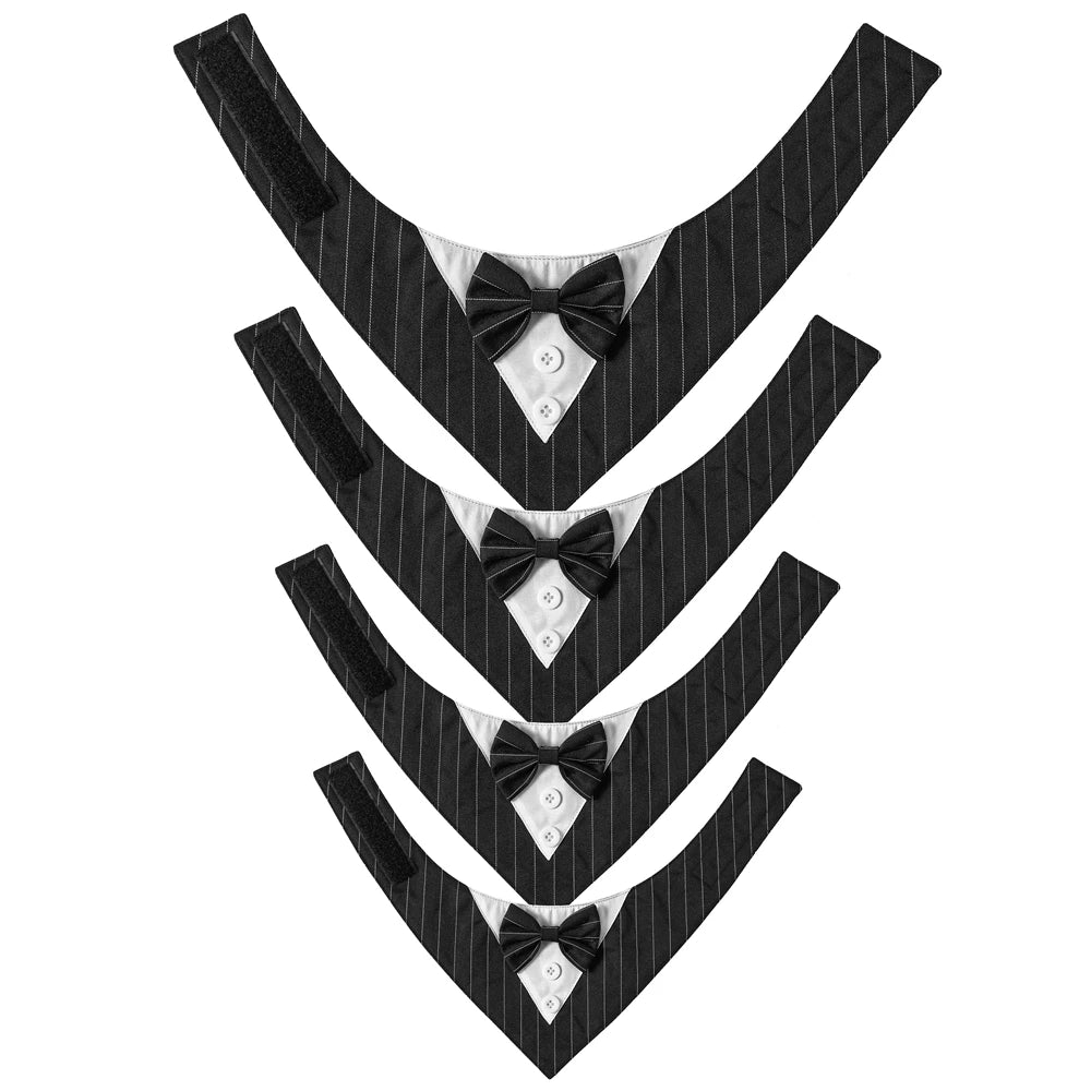 Tuxedo Tailor Bandana