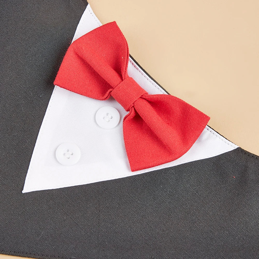 Tuxedo Tailor Bandana