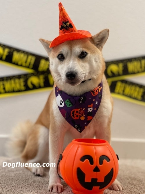 Halloween Bandanas (Print)