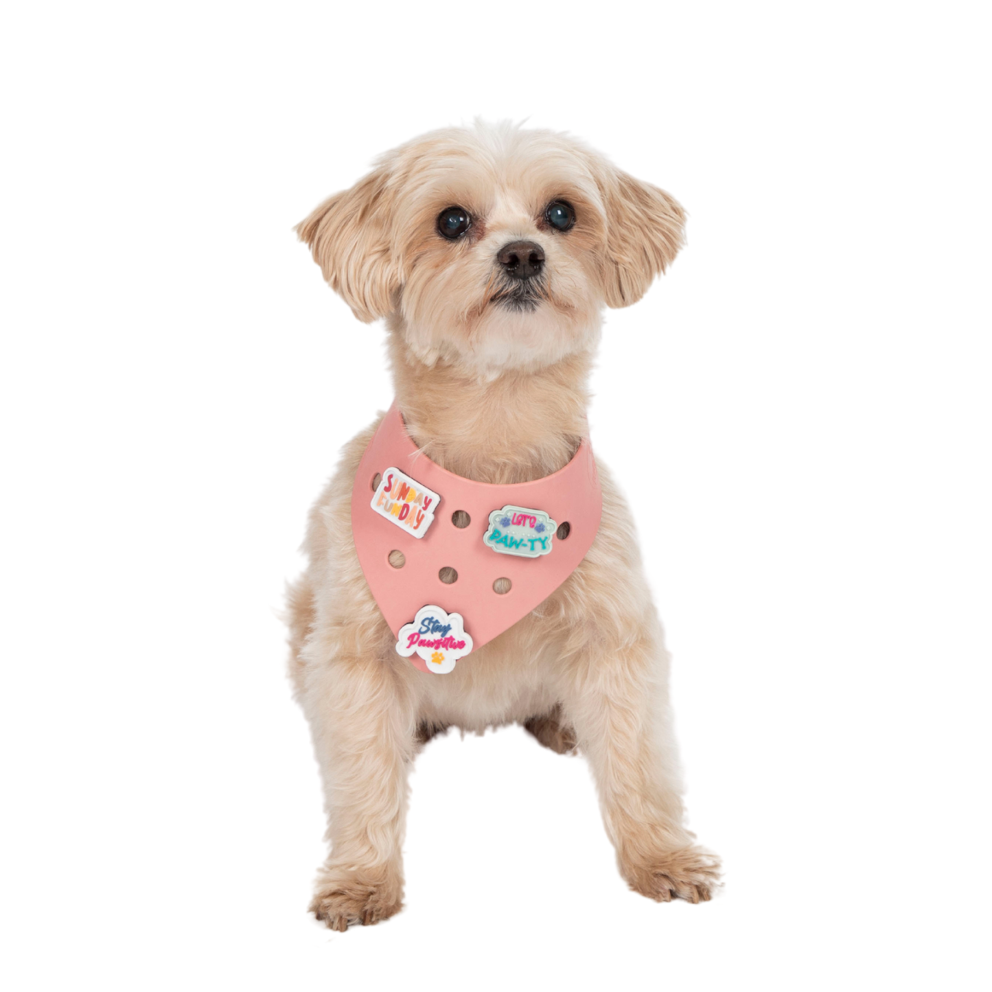 Rubber Dog Bandana with Charms - Pink