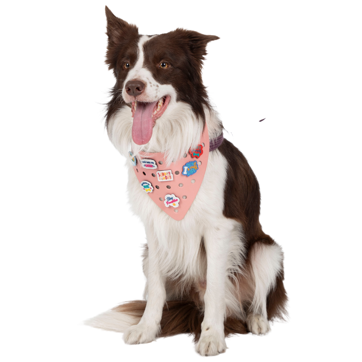 Rubber Dog Bandana with Charms - Pink