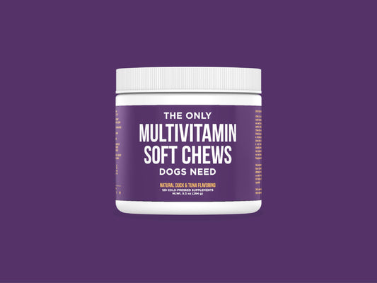 The Only Multivitamin Soft Chews Dogs Need