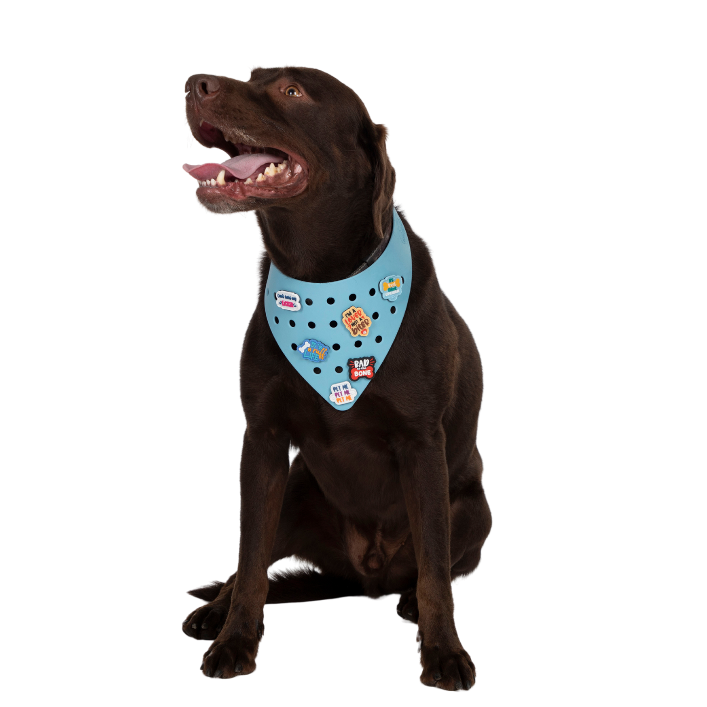 Rubber Dog Bandana with Charms - Blue